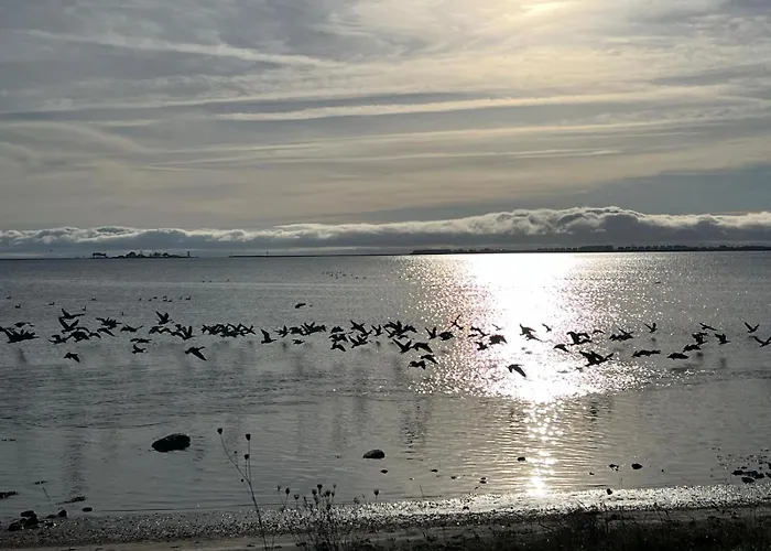 Casa vacanze Haeuschen Mit Privatem Schleizugang Maasholm
